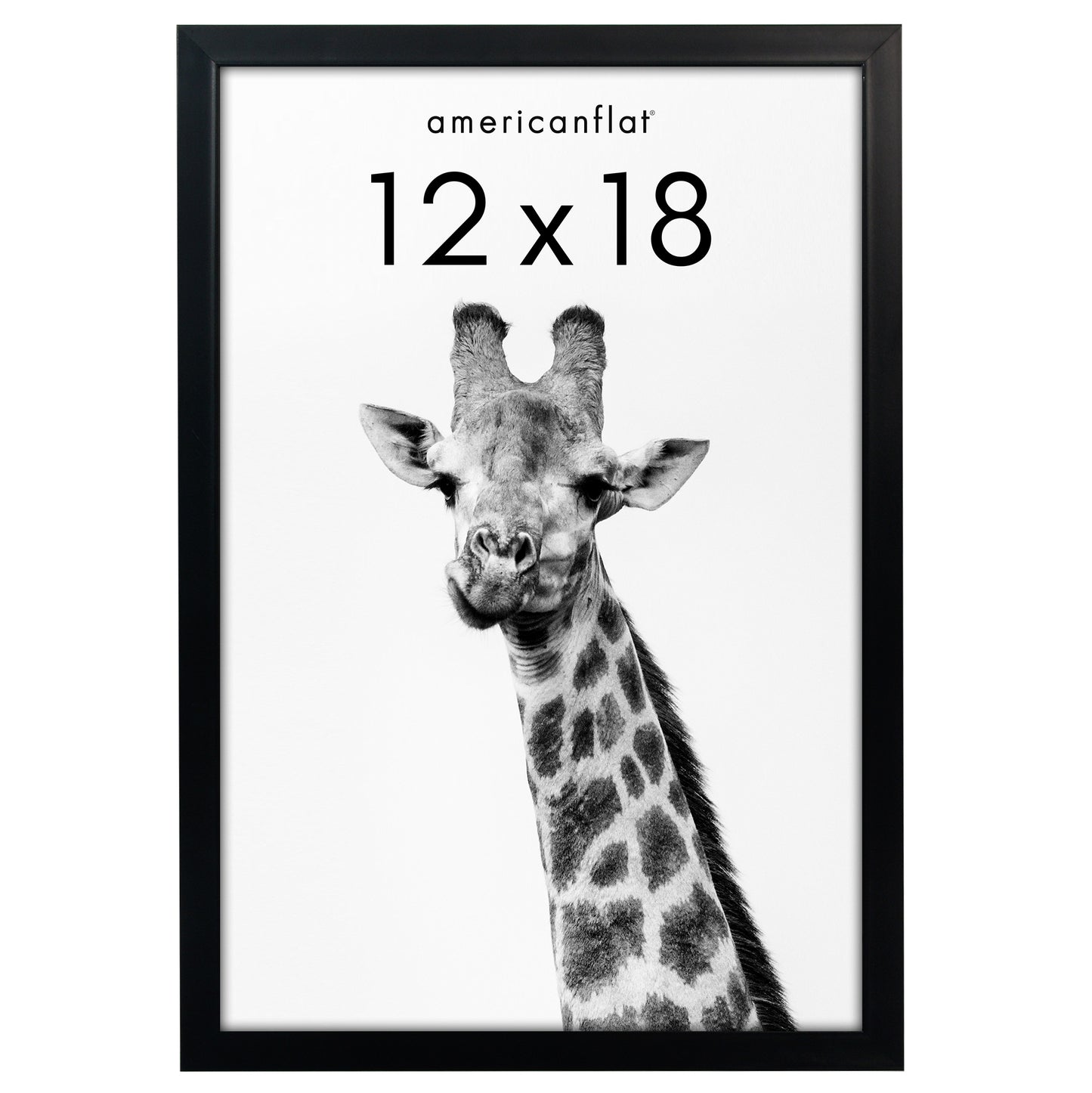 Picture Frame | Gallery Style | Secure Artwork and Photos | Wall Art Decor