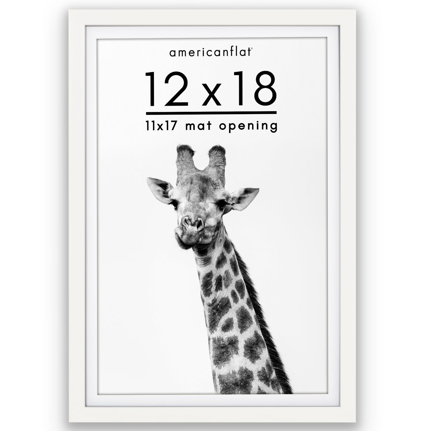 Picture Frame | Gallery Style | With Mat | Protective Glass | Wall Art Display
