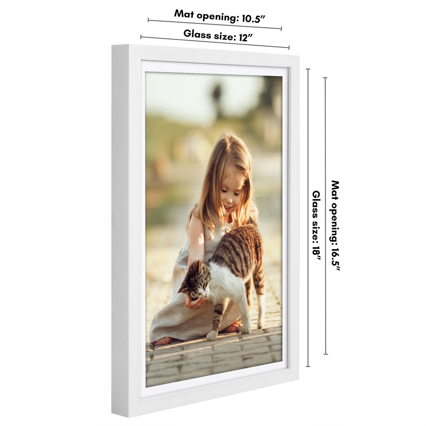 Picture Frame | Gallery Style | With Mat | Protective Glass | Wall Art Display