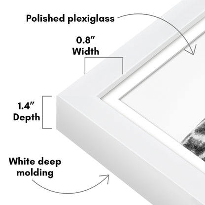 Picture Frame | Gallery Style | With Mat | Protective Glass | Wall Art Display