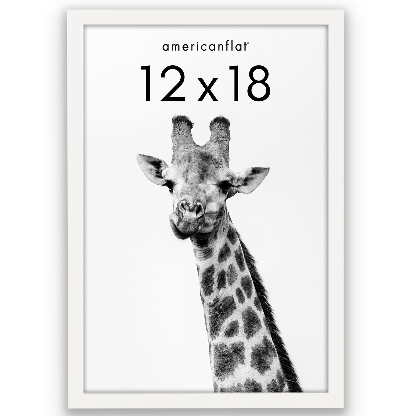 Picture Frame | Gallery Style | Secure Artwork and Photos | Wall Art Decor