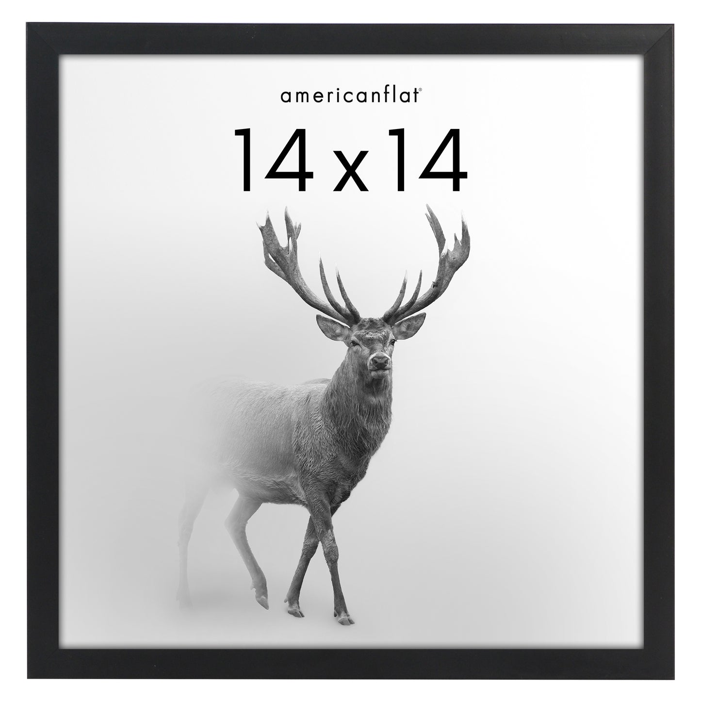 Picture Frame | Gallery Style | Secure Artwork and Photos | Wall Art Decor