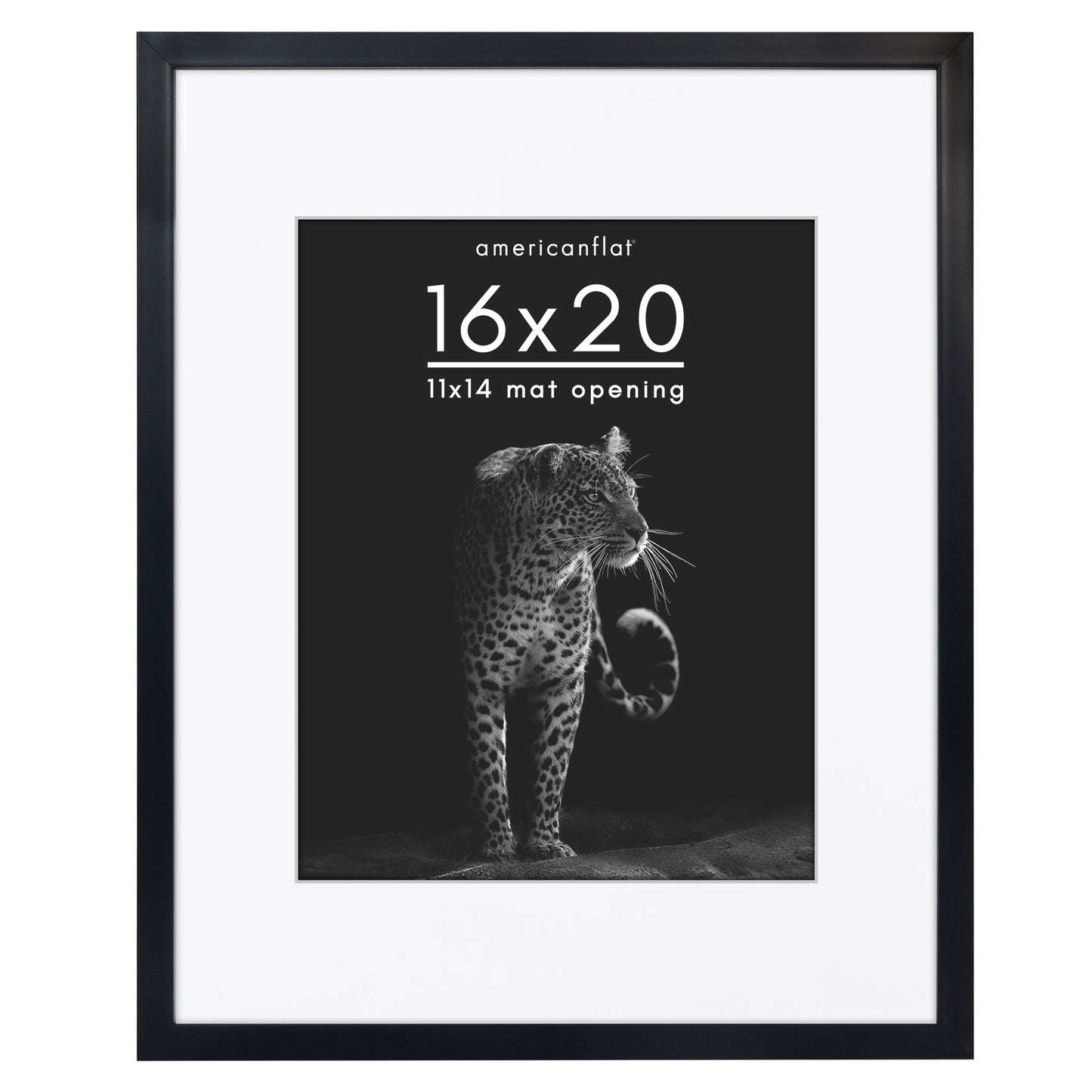 Picture Frame | Gallery Style | With Mat | Protective Glass | Wall Art Display