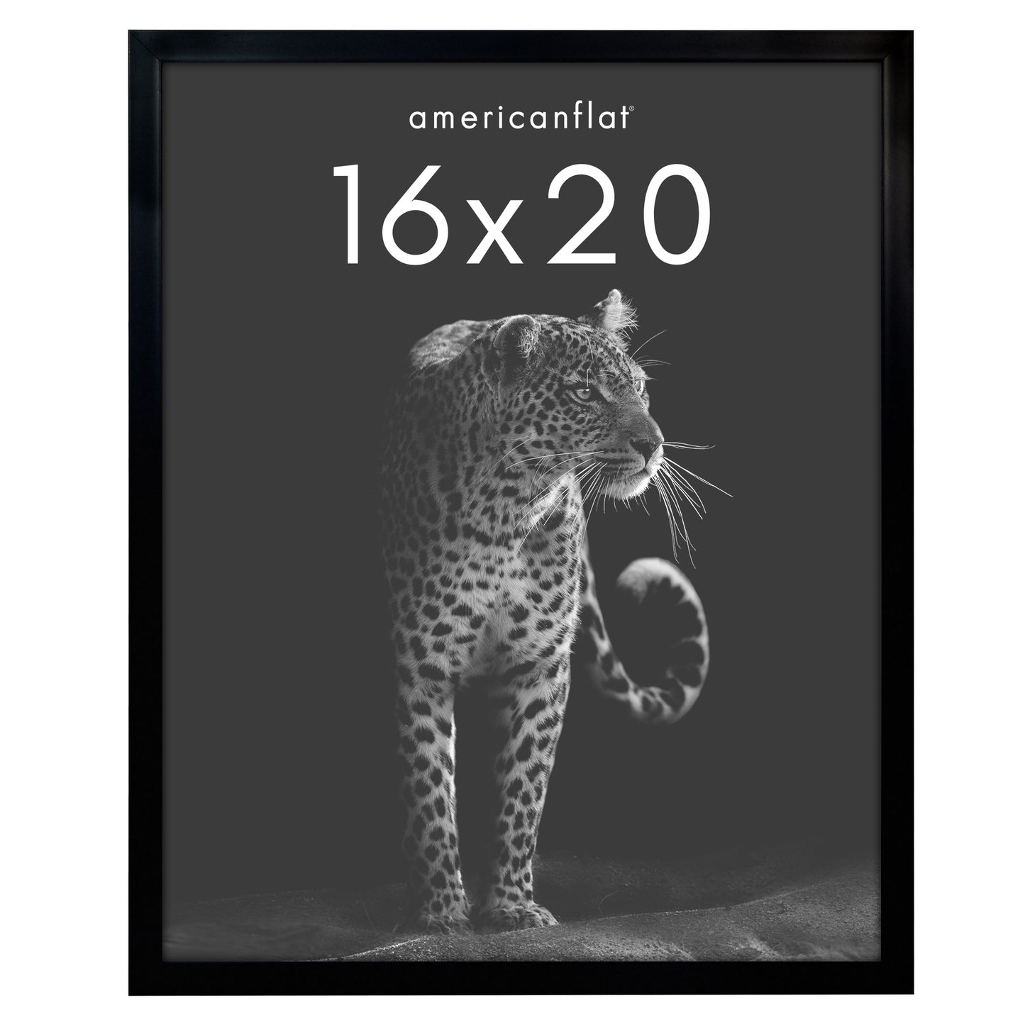 Deep Molding Picture Frame | Americanflat | No Mat | Modern - Premium Quality