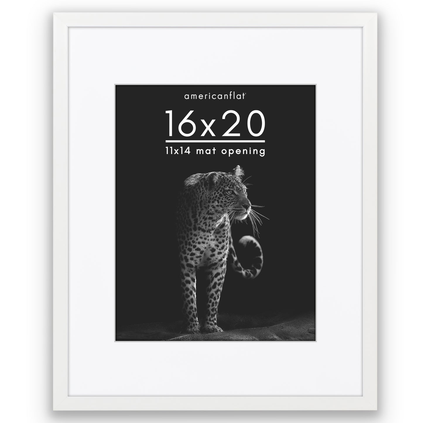 Picture Frame | Gallery Style | With Mat | Protective Glass | Wall Art Display