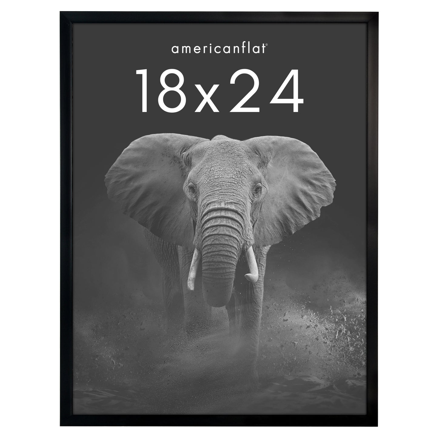 Picture Frame | Gallery Style | Secure Artwork and Photos | Wall Art Decor
