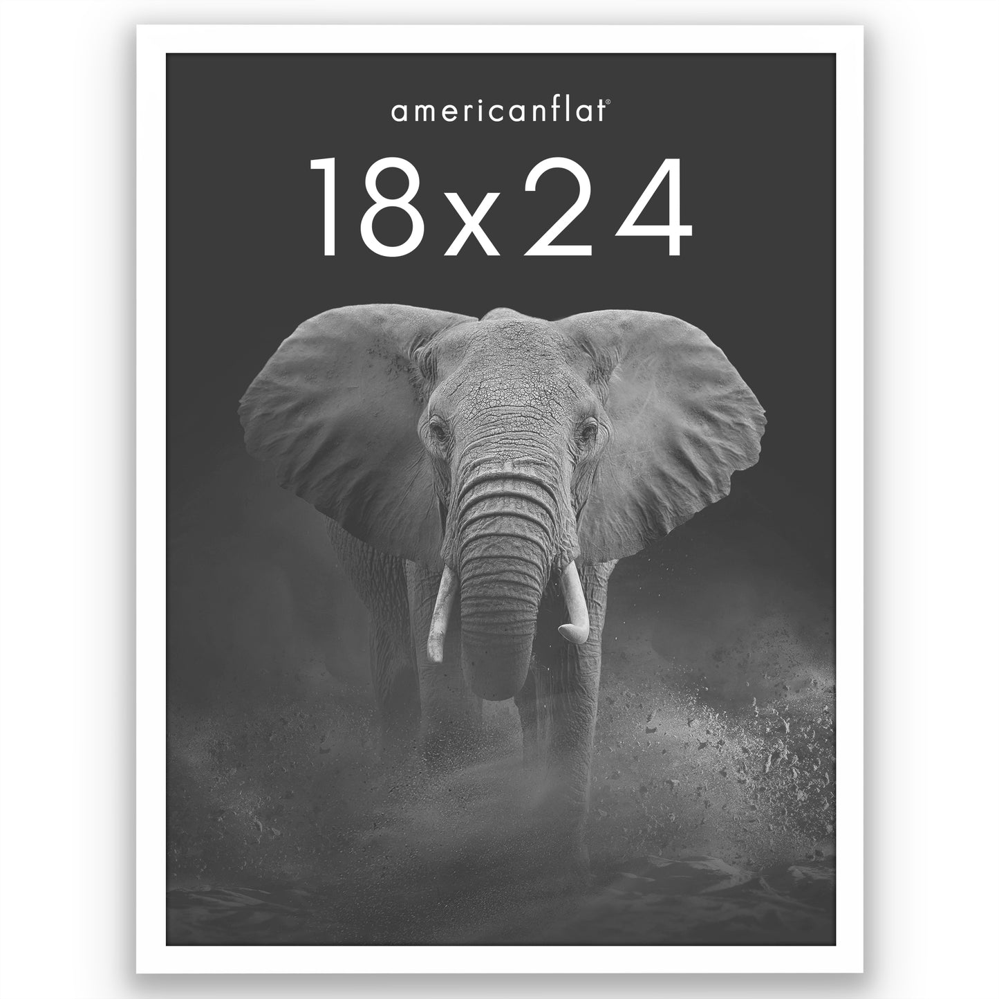 Picture Frame | Gallery Style | Secure Artwork and Photos | Wall Art Decor