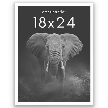 Picture Frame | Gallery Style | Secure Artwork and Photos | Wall Art Decor