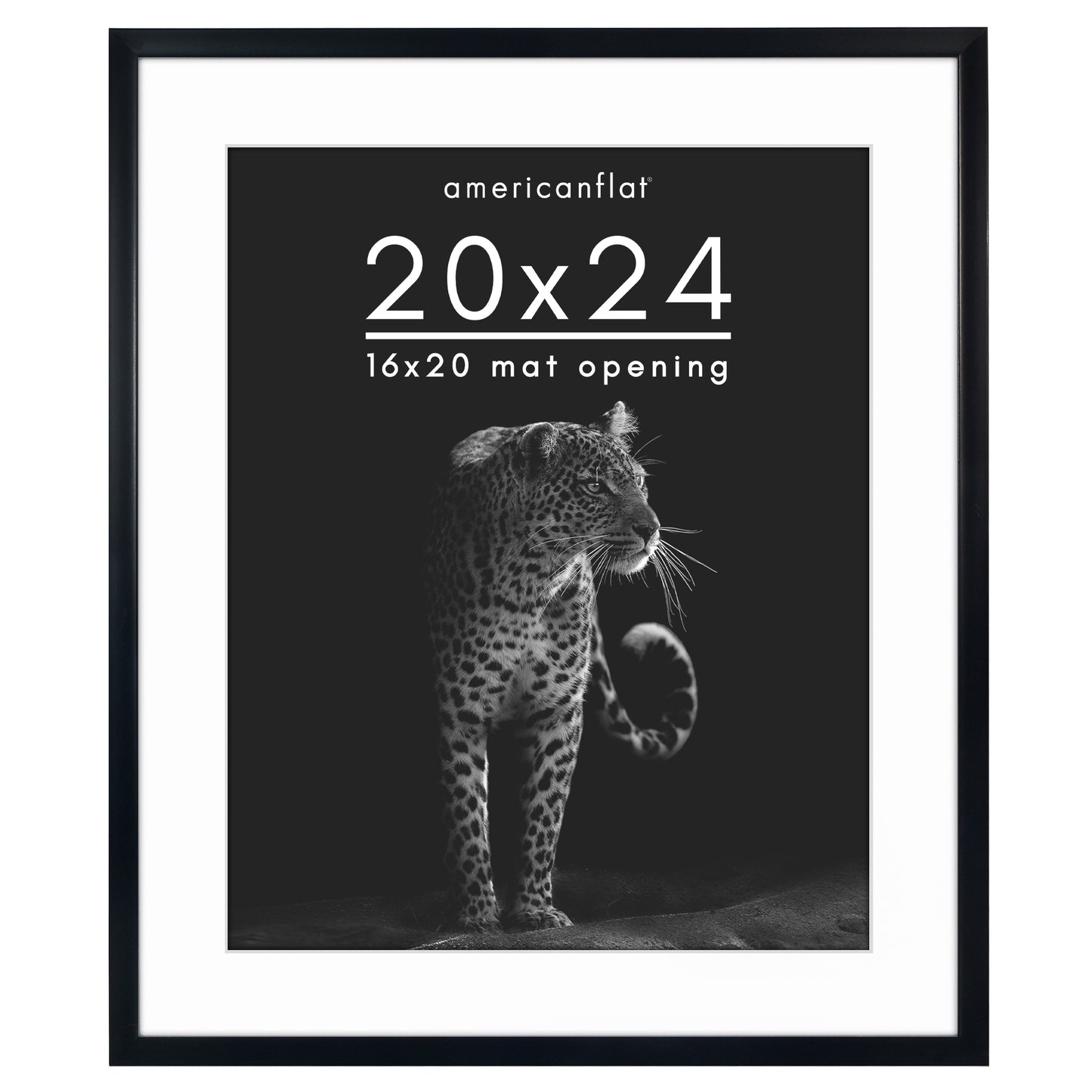 Picture Frame | Gallery Style | With Mat | Protective Glass | Wall Art Display