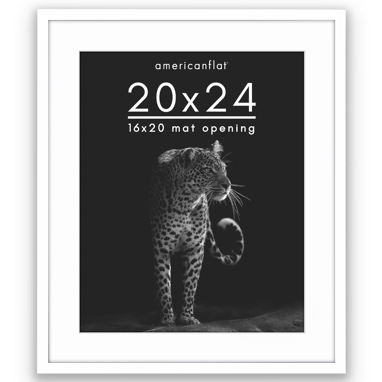 Picture Frame | Gallery Style | With Mat | Protective Glass | Wall Art Display