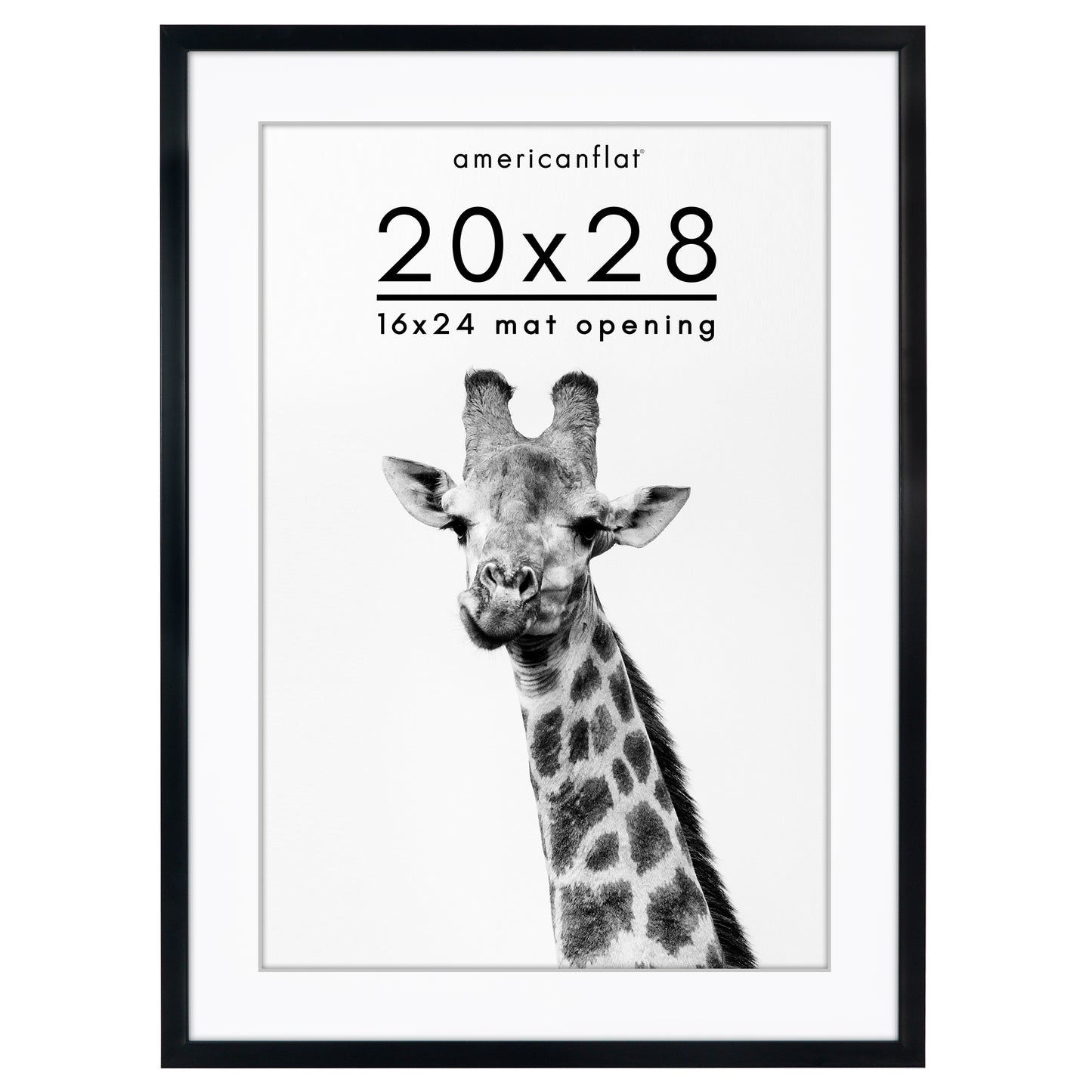 Picture Frame | Gallery Style | With Mat | Protective Glass | Wall Art Display