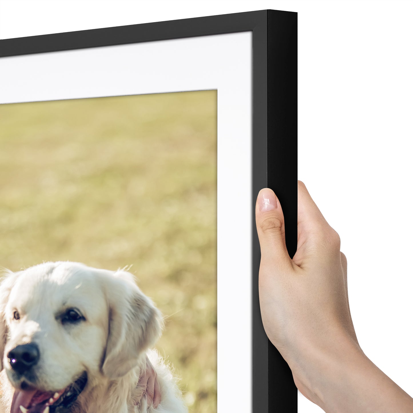 Picture Frame | Gallery Style | With Mat | Protective Glass | Wall Art Display