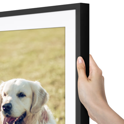 Picture Frame | Gallery Style | With Mat | Protective Glass | Wall Art Display