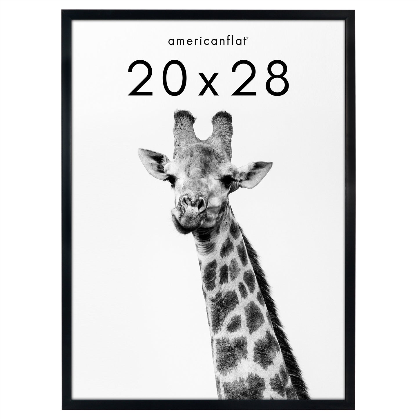 Picture Frame | Gallery Style | Secure Artwork and Photos | Wall Art Decor