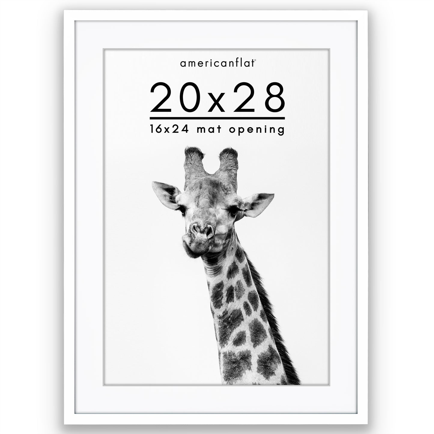 Picture Frame | Gallery Style | With Mat | Protective Glass | Wall Art Display