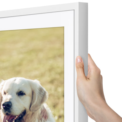 Picture Frame | Gallery Style | With Mat | Protective Glass | Wall Art Display
