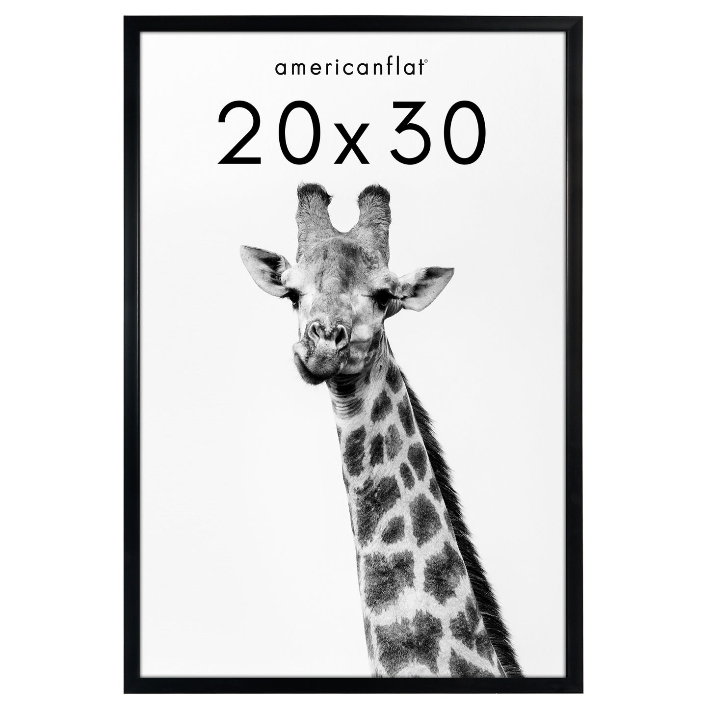 Deep Molding Picture Frame | Americanflat | No Mat | Modern - Premium Quality
