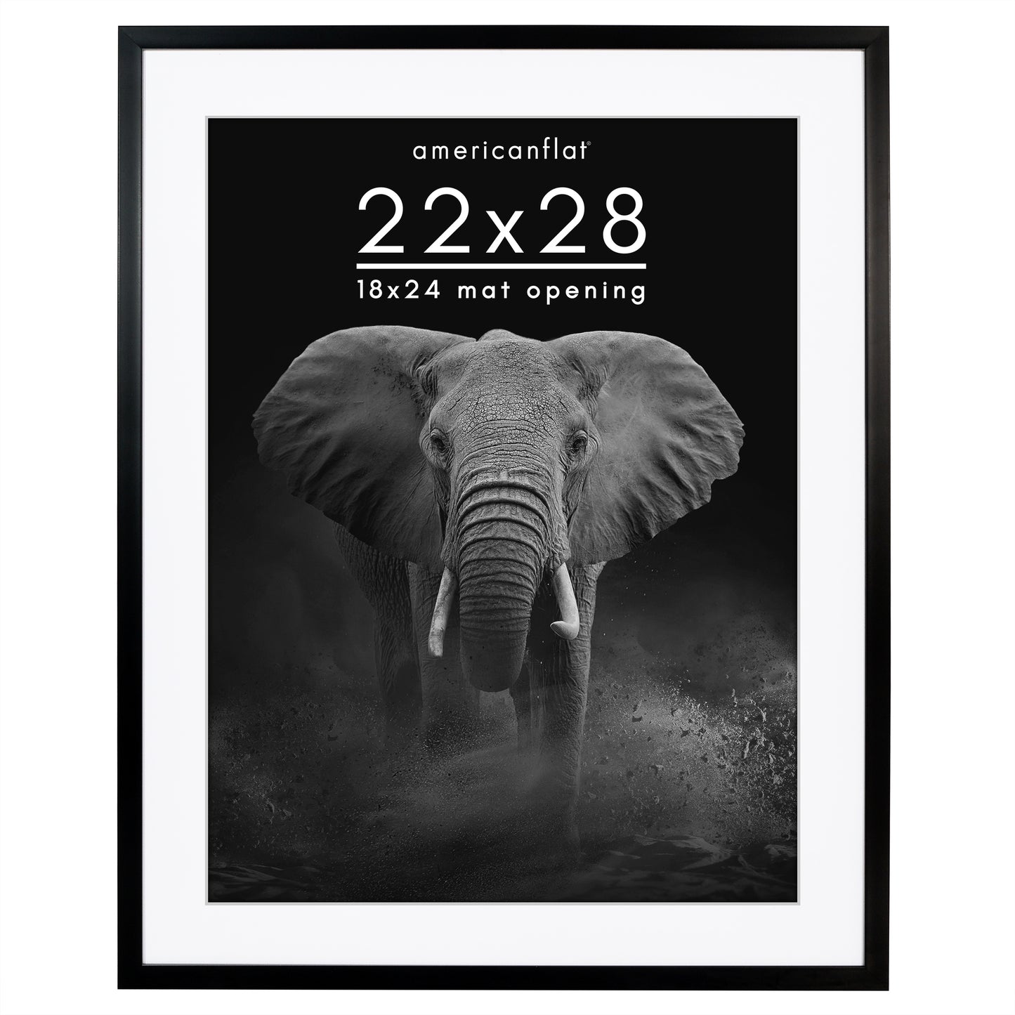 Picture Frame | Gallery Style | With Mat | Protective Glass | Wall Art Display