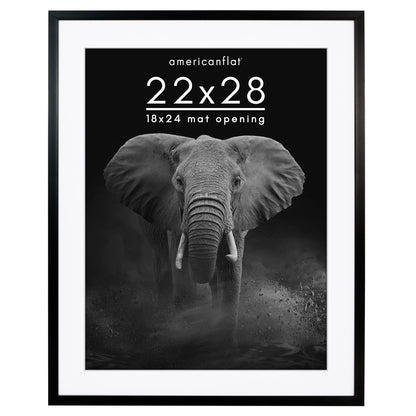Picture Frame | Gallery Style | With Mat | Protective Glass | Wall Art Display