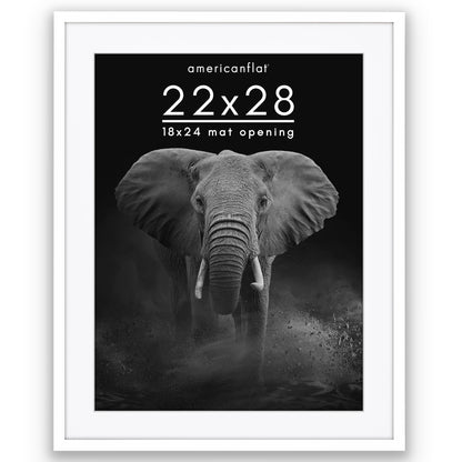 Picture Frame | Gallery Style | With Mat | Protective Glass | Wall Art Display