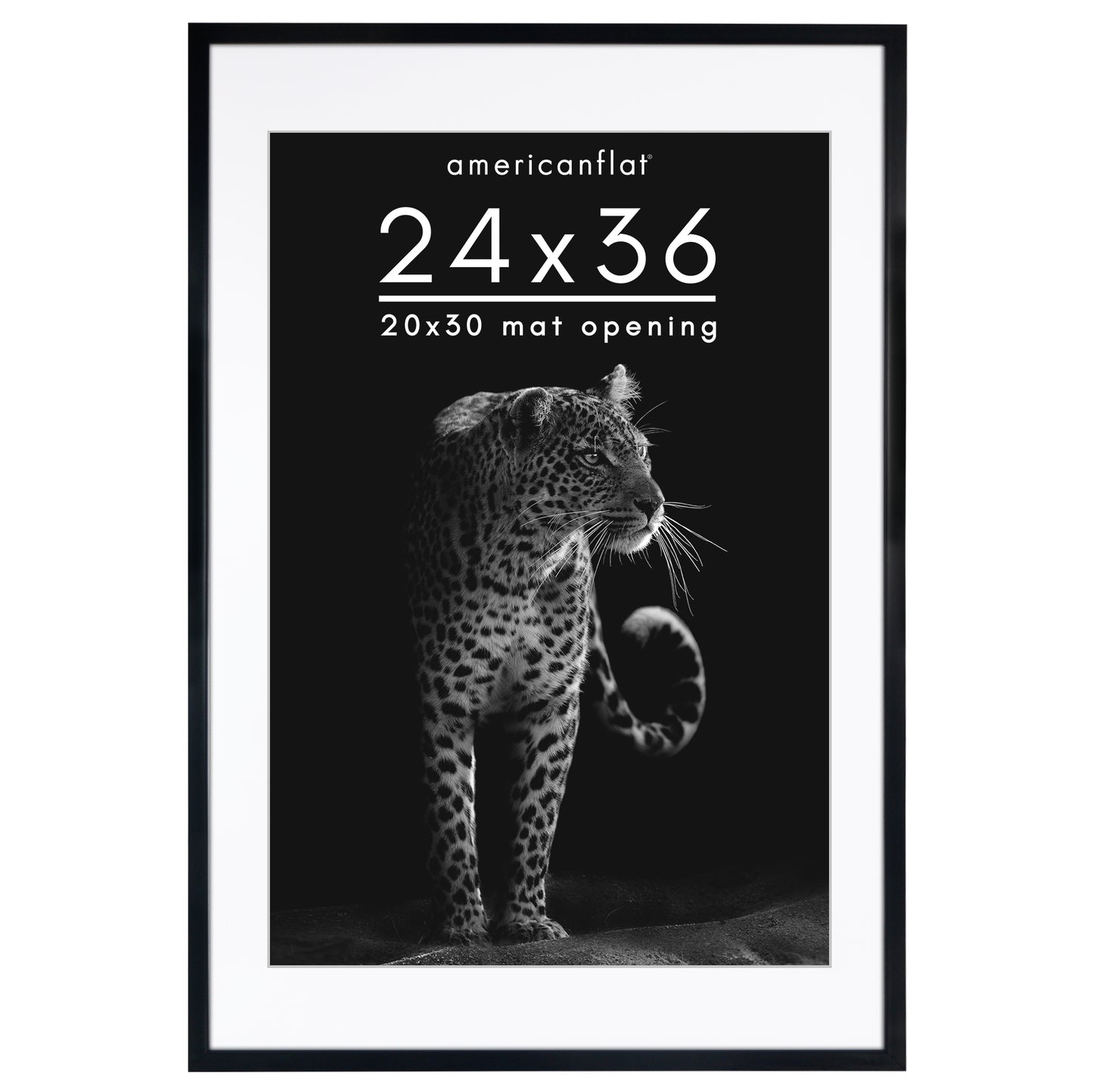Picture Frame | Gallery Style | With Mat | Protective Glass | Wall Art Display