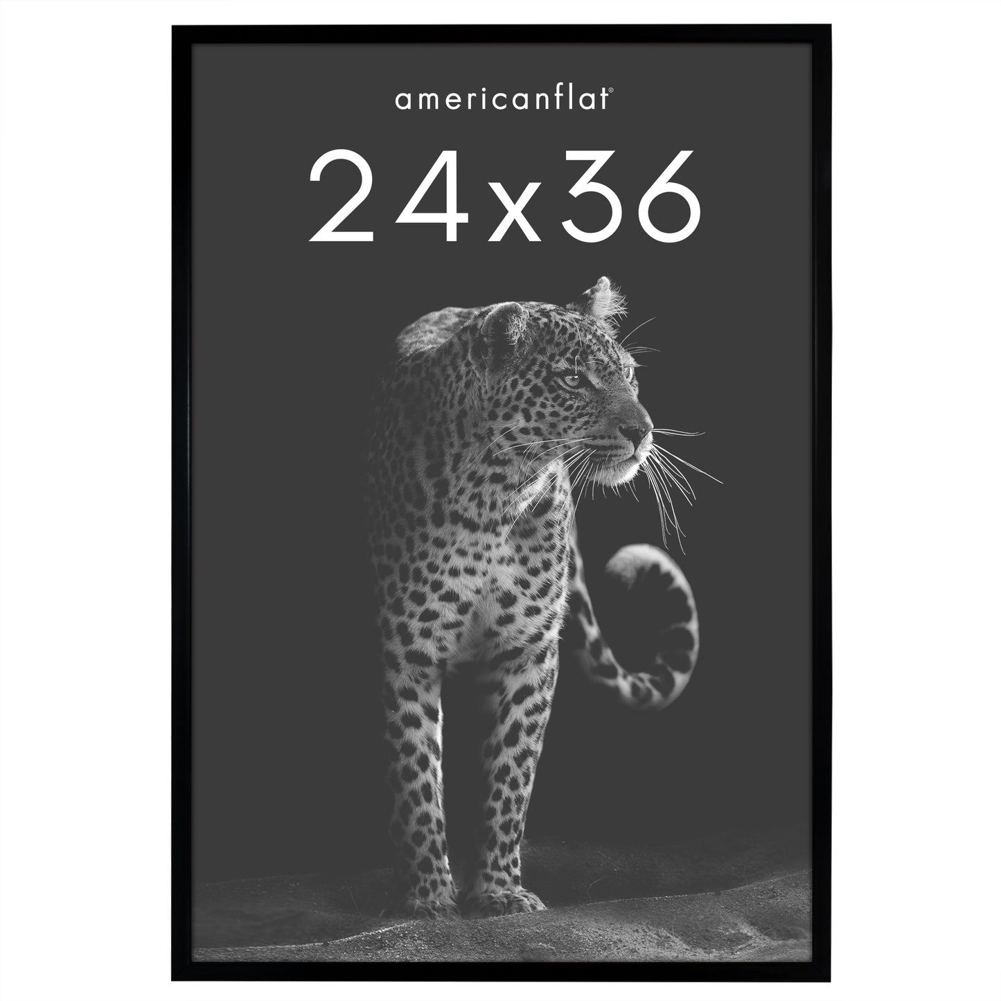 Deep Molding Picture Frame | Americanflat | No Mat | Modern - Premium Quality