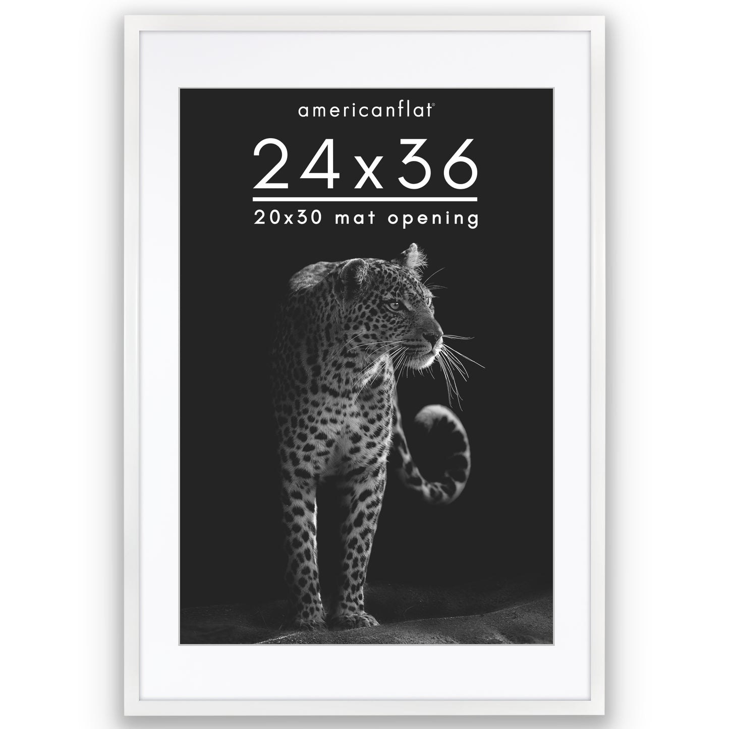 Picture Frame | Gallery Style | With Mat | Protective Glass | Wall Art Display