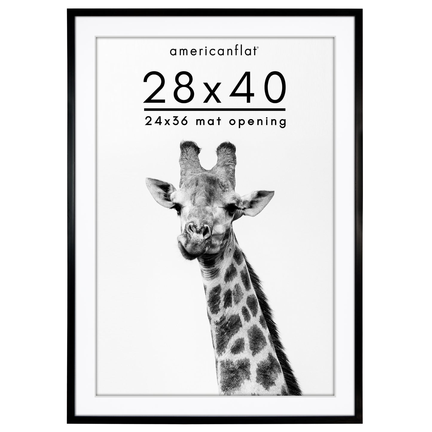 Picture Frame | Gallery Style | With Mat | Protective Glass | Wall Art Display
