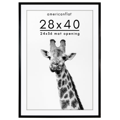 Picture Frame | Gallery Style | With Mat | Protective Glass | Wall Art Display