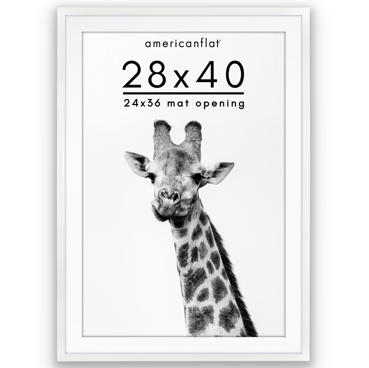 Picture Frame | Gallery Style | With Mat | Protective Glass | Wall Art Display