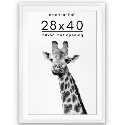 Picture Frame | Gallery Style | With Mat | Protective Glass | Wall Art Display