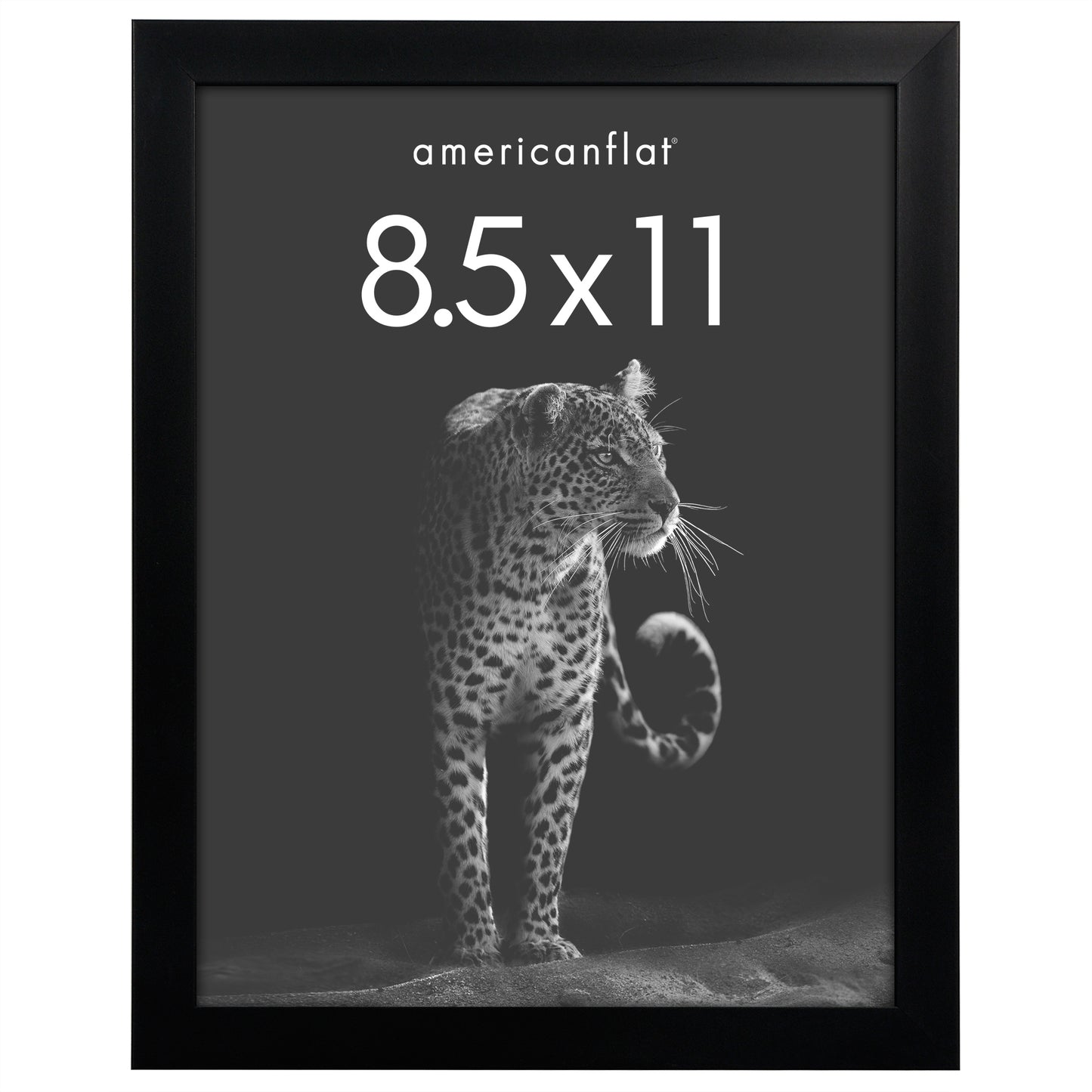 Picture Frame | Gallery Style | Secure Artwork and Photos | Wall Art Decor