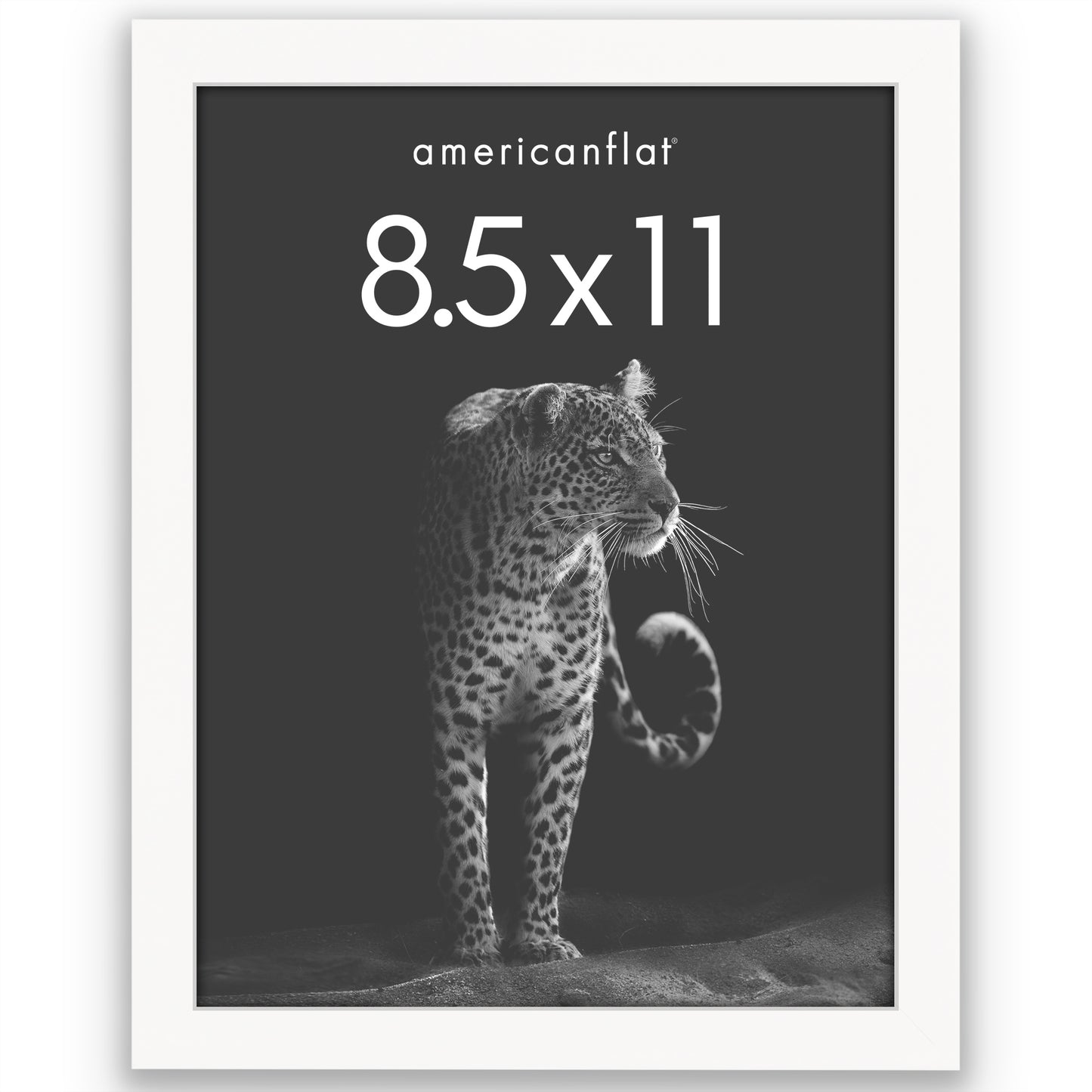 Picture Frame | Gallery Style | Secure Artwork and Photos | Wall Art Decor
