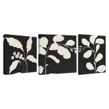 Botanical Silhouette — Set of 3 Canvas Gallery Wraps