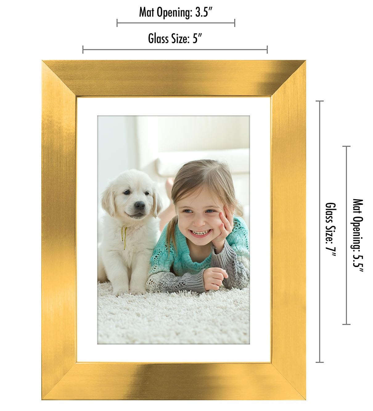 Picture Frame | Signature Collection | Classic Molding | Includes Mat | Multi Pack