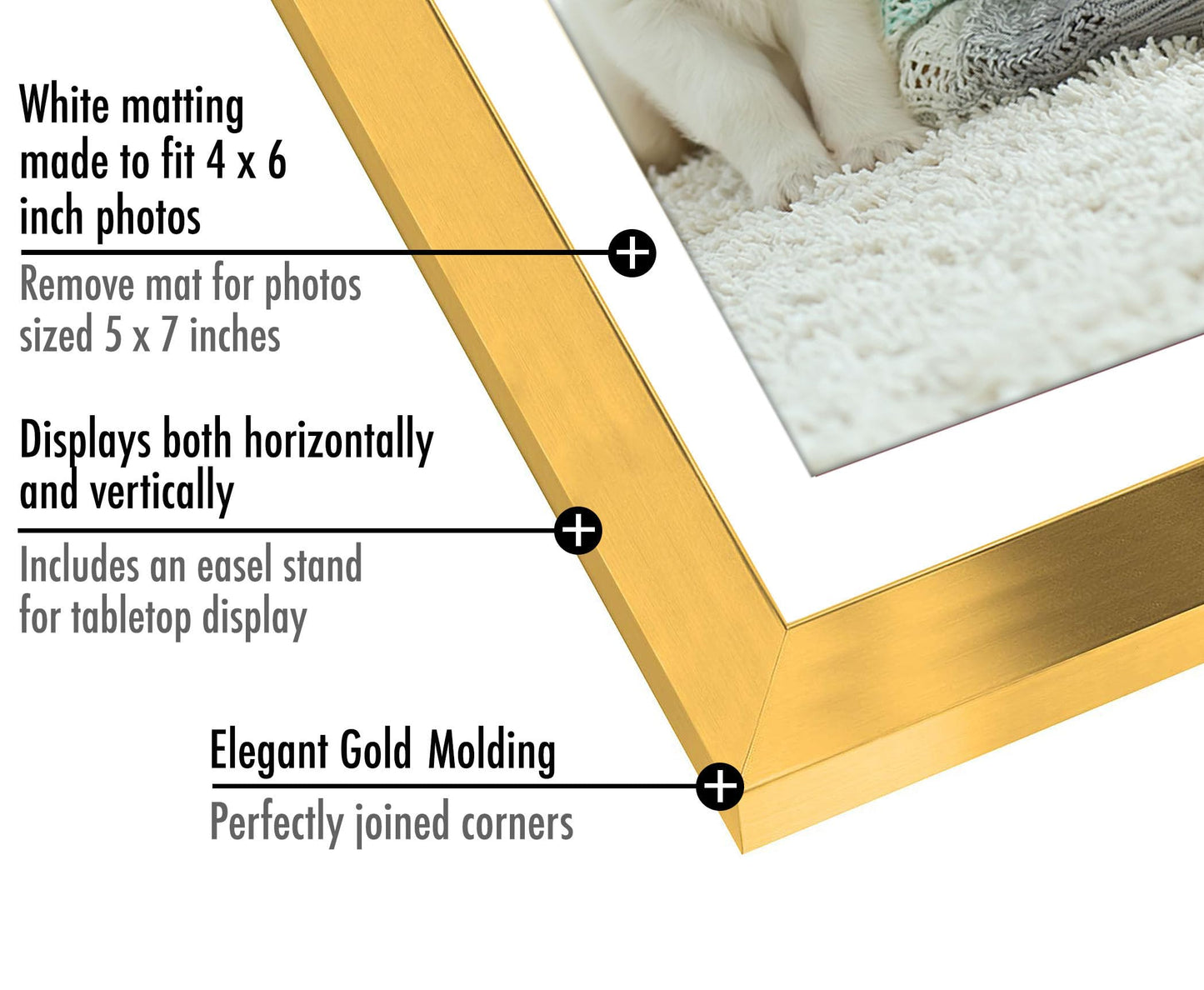 Picture Frame | Signature Collection | Classic Molding | Includes Mat | Multi Pack