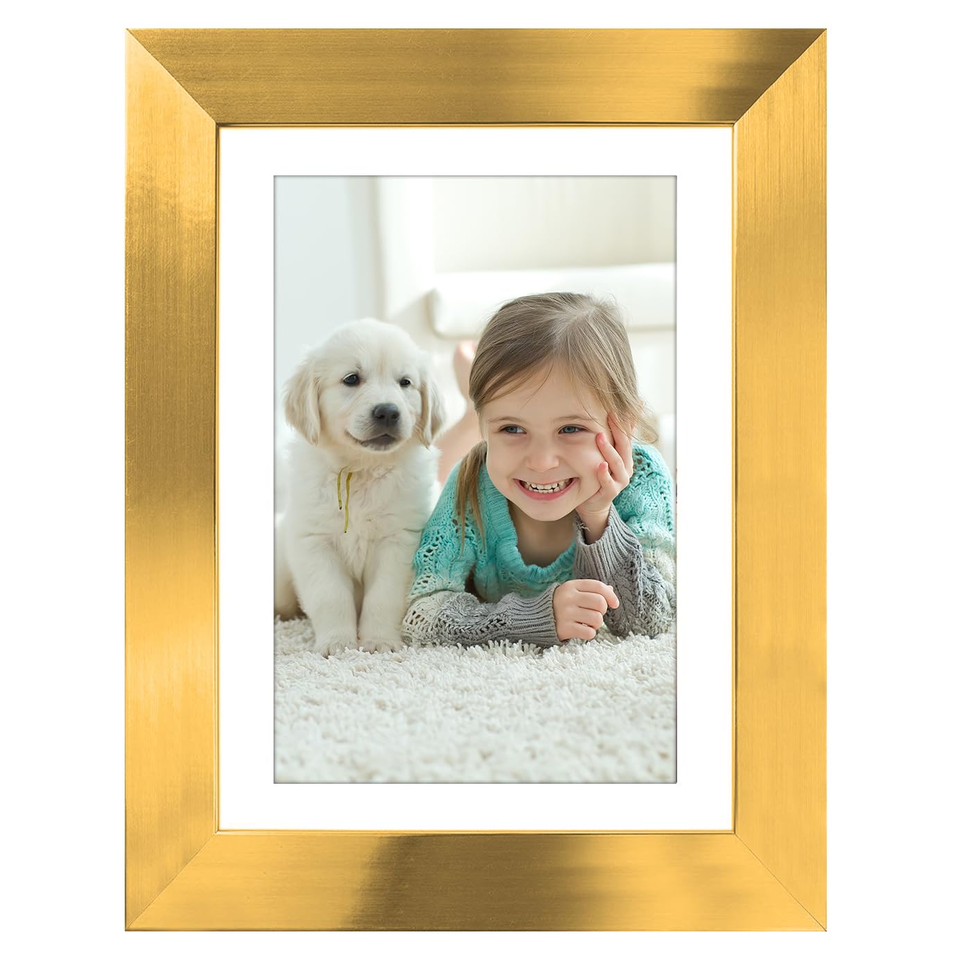 Picture Frame | Signature Collection | Classic Molding | Includes Mat | Multi Pack