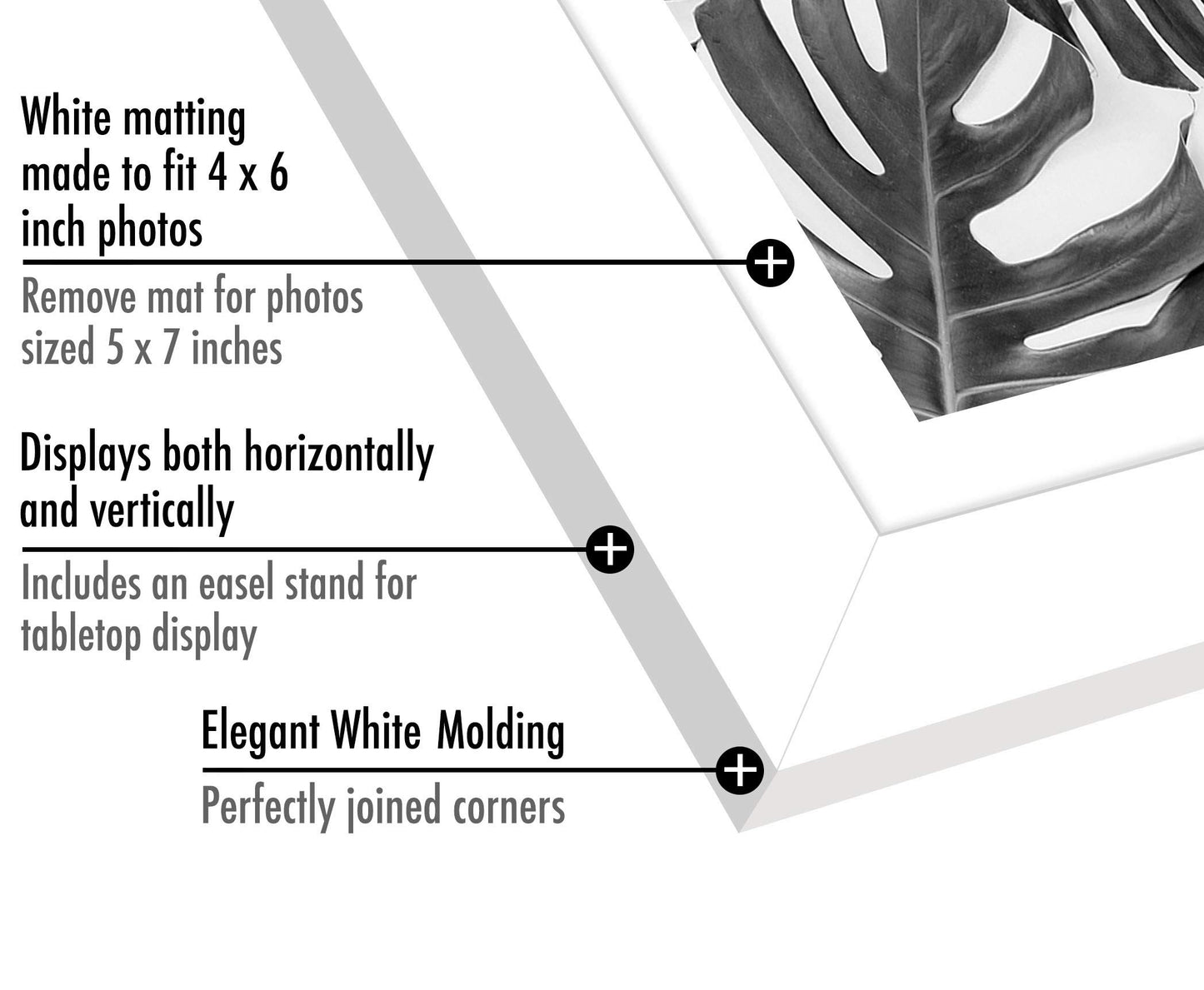 Picture Frame | Signature Collection | Classic Molding | Includes Mat | Multi Pack