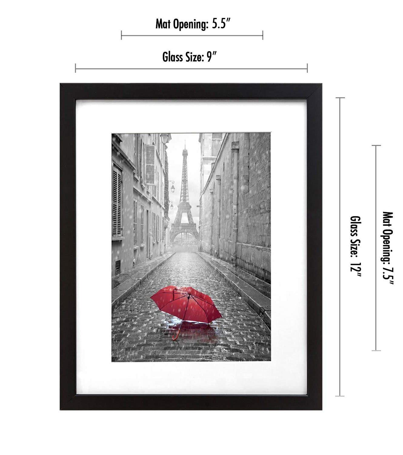 Picture Frame | Signature Collection | Classic Molding | Includes Mat | Multi Pack