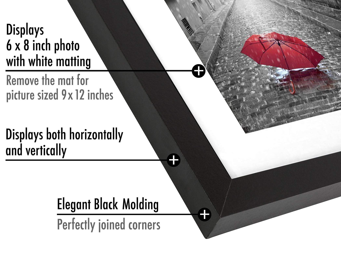 Picture Frame | Signature Collection | Classic Molding | Includes Mat | Multi Pack