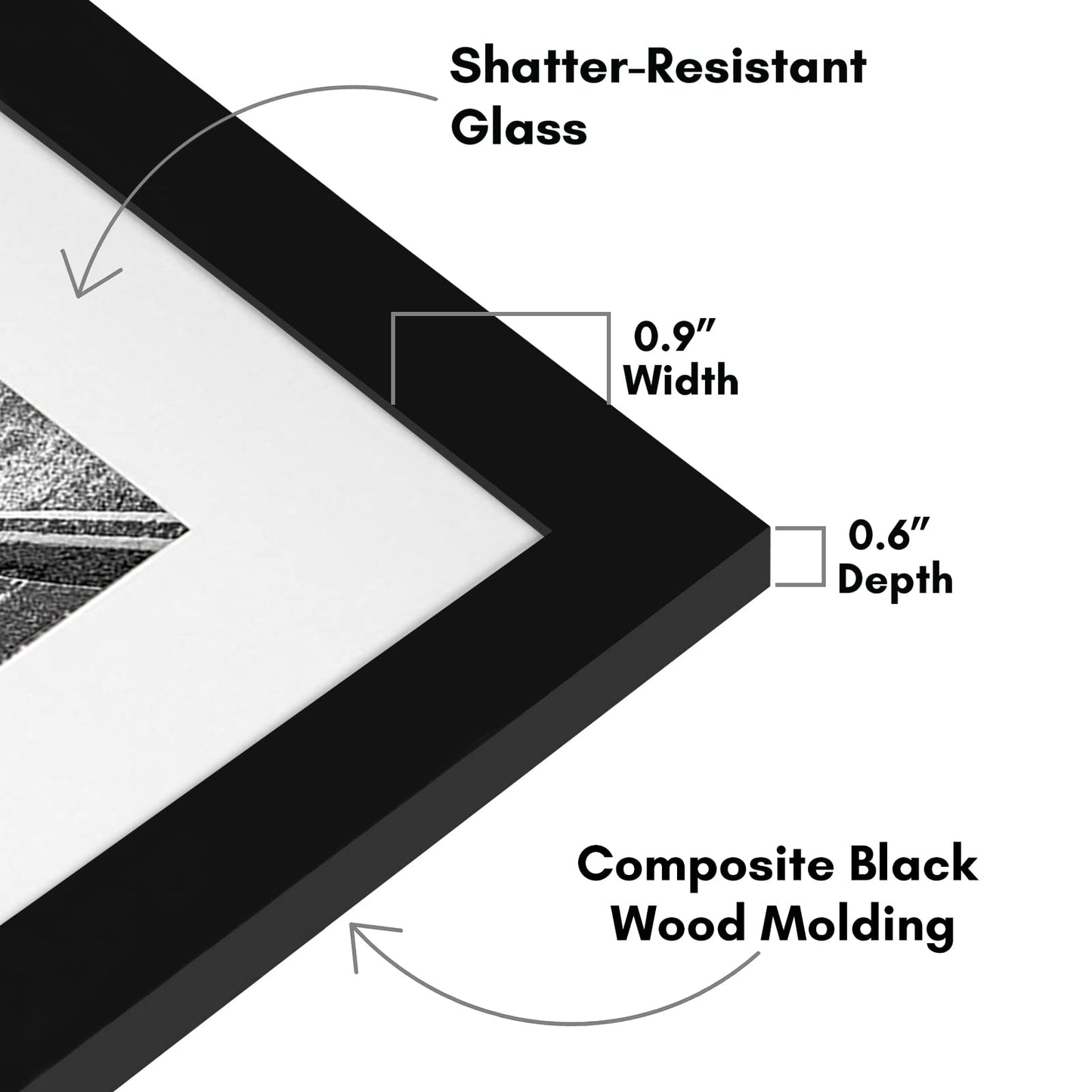 Picture Frame | Signature Collection | Classic Molding | Includes Mat | Multi Pack