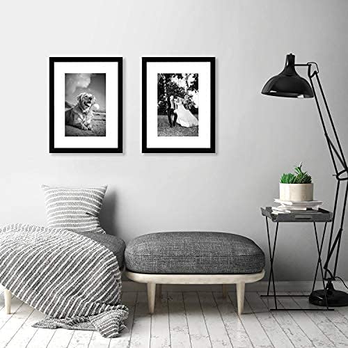 Picture Frame | Signature Collection | Classic Molding | Includes Mat | Multi Pack