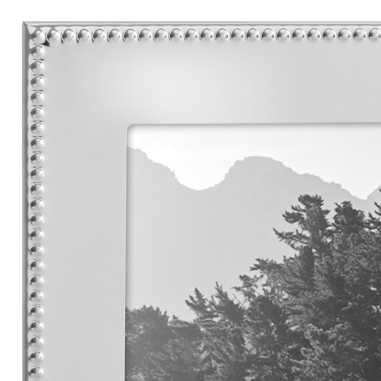 Memento Picture Frame