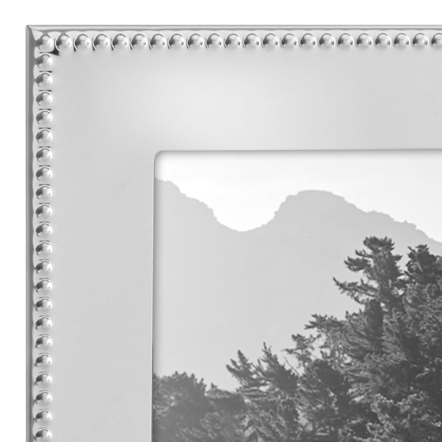 Memento Picture Frame