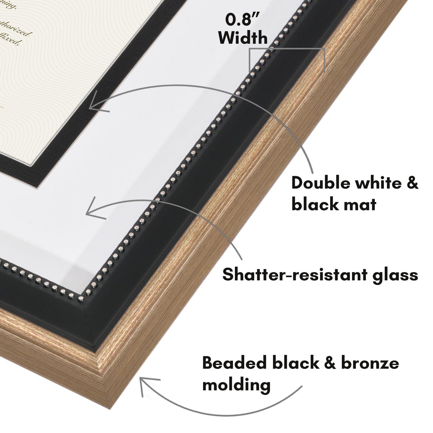 Legacy Matted Document Frame
