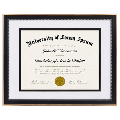 Legacy Matted Document Frame — 11x14 / Black & Bronze / 1 Pack