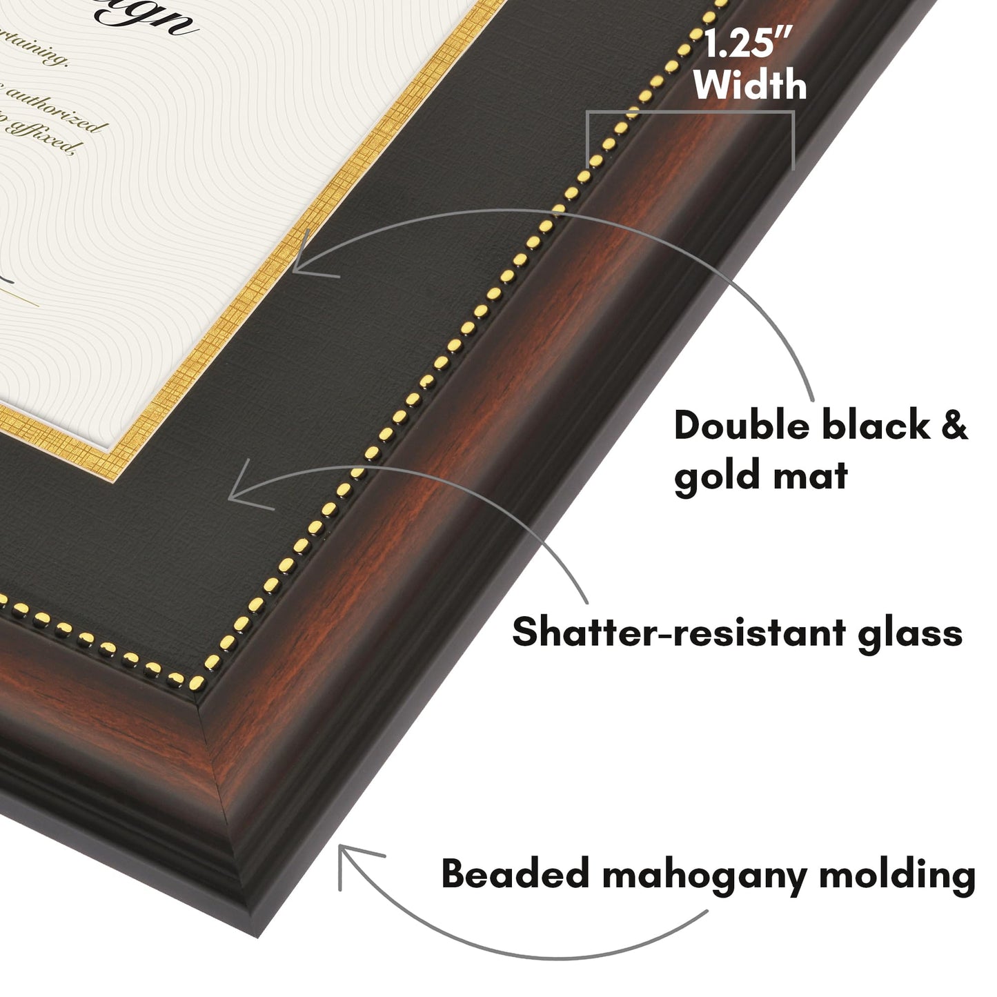 Legacy Matted Document Frame
