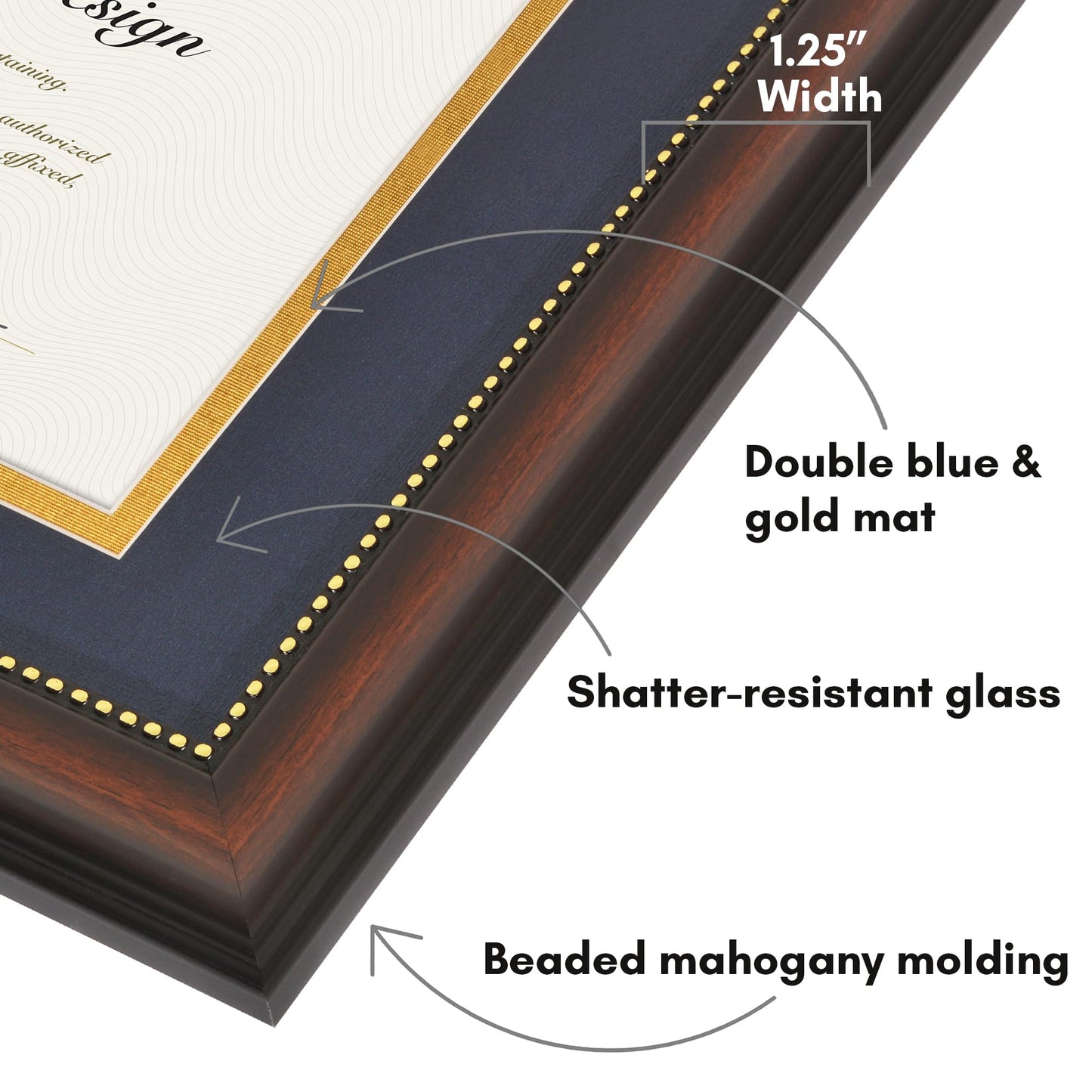 Legacy Matted Document Frame