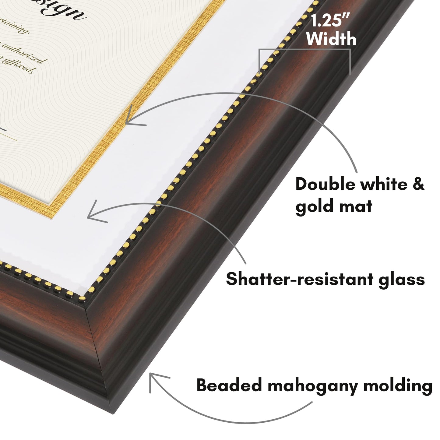 Legacy Matted Document Frame