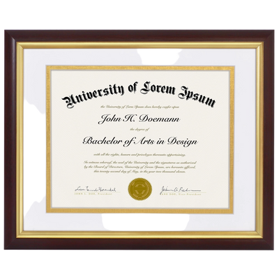 Legacy Matted Document Frame — 11x14 / Mahogany & Gold with White & Gold Mat Mat / 1 Pack